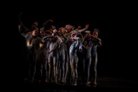 20160317_Midsummer_Nights_Dream_DR_Closeup_IMG_5932