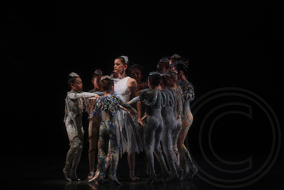 20160317_Midsummer_Nights_Dream_DR_Closeup_IMG_5925