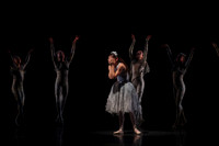 20160317_Midsummer_Nights_Dream_DR_Closeup_IMG_5913