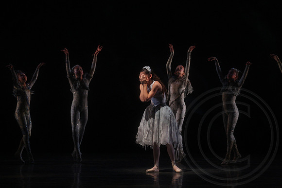 20160317_Midsummer_Nights_Dream_DR_Closeup_IMG_5913