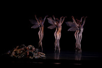 20160317_Midsummer_Nights_Dream_DR_Closeup_IMG_5949