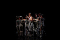 20160317_Midsummer_Nights_Dream_DR_Closeup_IMG_5921