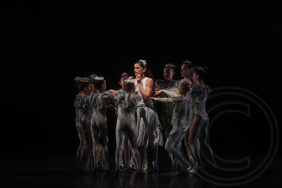20160317_Midsummer_Nights_Dream_DR_Closeup_IMG_5921