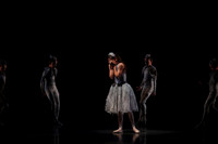 20160317_Midsummer_Nights_Dream_DR_Closeup_IMG_5911