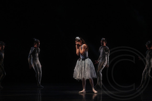 20160317_Midsummer_Nights_Dream_DR_Closeup_IMG_5911