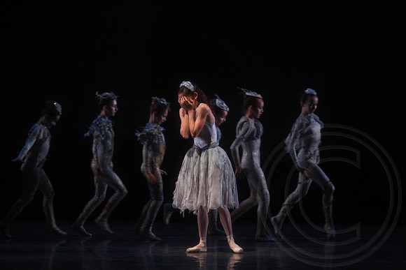 20160317_Midsummer_Nights_Dream_DR_Closeup_IMG_5892