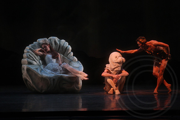 20160317_Midsummer_Nights_Dream_DR_Closeup_IMG_8233