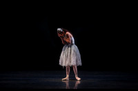 20160317_Midsummer_Nights_Dream_DR_Closeup_IMG_5890