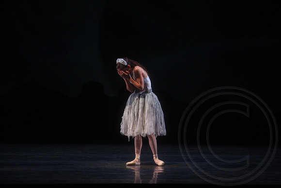 20160317_Midsummer_Nights_Dream_DR_Closeup_IMG_5890