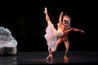 20160317_Midsummer_Nights_Dream_DR_Closeup_IMG_8426