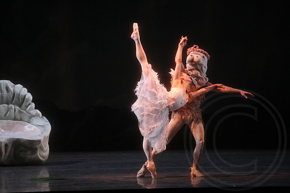 20160317_Midsummer_Nights_Dream_DR_Closeup_IMG_8426
