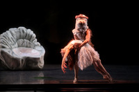 20160317_Midsummer_Nights_Dream_DR_Closeup_IMG_8393