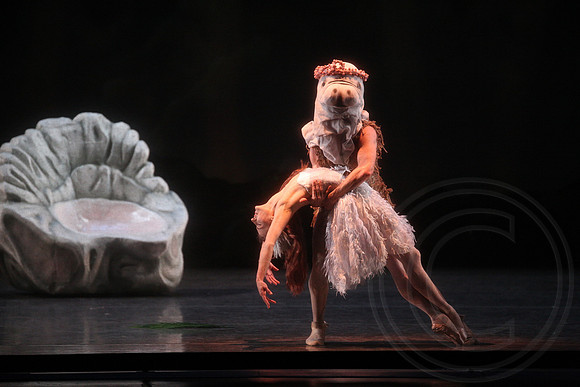 20160317_Midsummer_Nights_Dream_DR_Closeup_IMG_8393