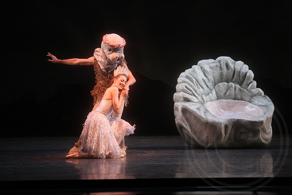 20160317_Midsummer_Nights_Dream_DR_Closeup_IMG_8284