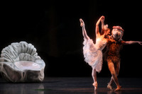 20160317_Midsummer_Nights_Dream_DR_Closeup_IMG_8417