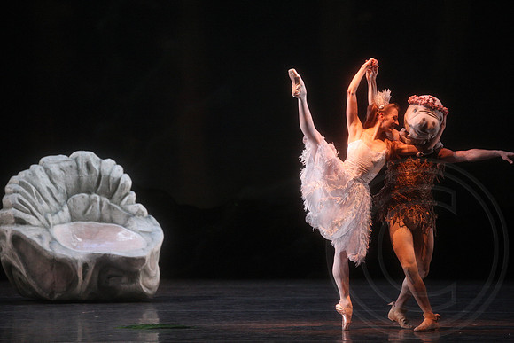 20160317_Midsummer_Nights_Dream_DR_Closeup_IMG_8417
