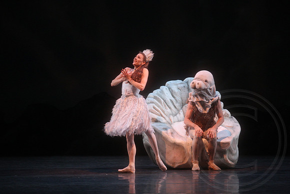 20160317_Midsummer_Nights_Dream_DR_Closeup_IMG_8261