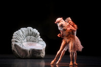20160317_Midsummer_Nights_Dream_DR_Closeup_IMG_8308