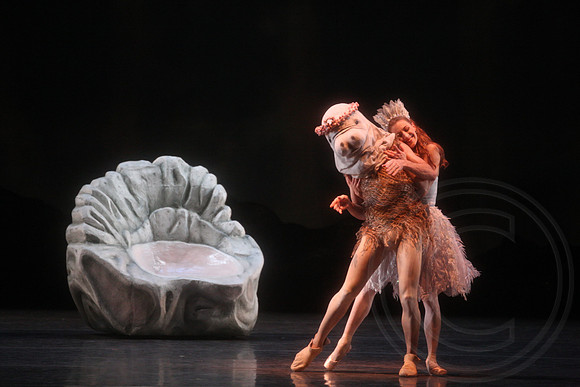 20160317_Midsummer_Nights_Dream_DR_Closeup_IMG_8308