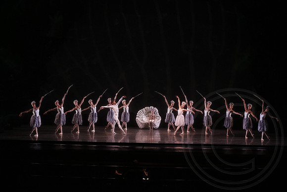 20160317_Midsummer_Nights_Dream_DR_Wide_75A5032