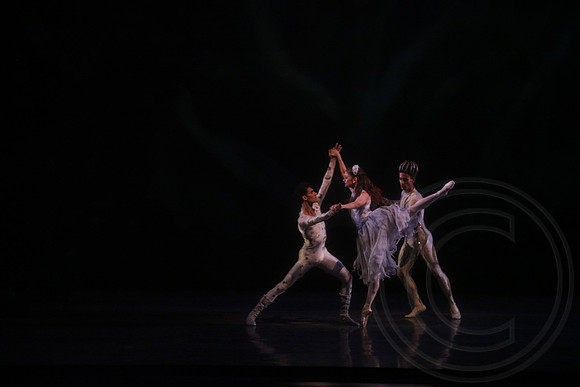 20160317_Midsummer_Nights_Dream_DR_Wide_75A5624