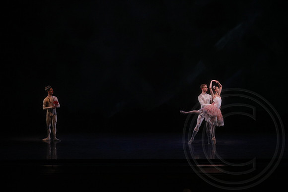 20160317_Midsummer_Nights_Dream_DR_Wide_75A5566