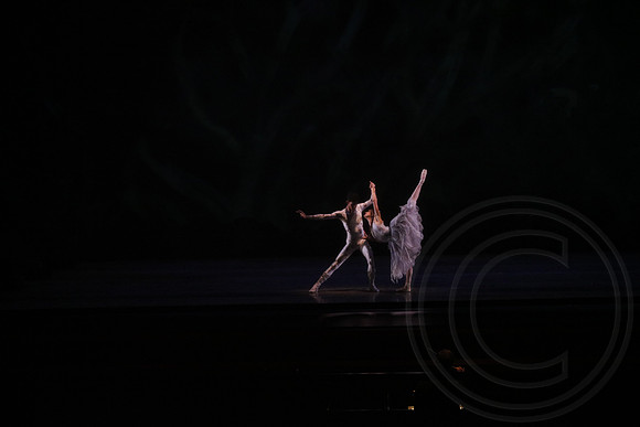 20160317_Midsummer_Nights_Dream_DR_Wide_75A5665