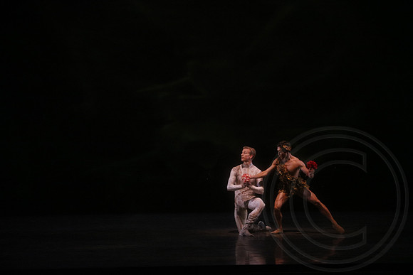 20160317_Midsummer_Nights_Dream_DR_Wide_75A5724