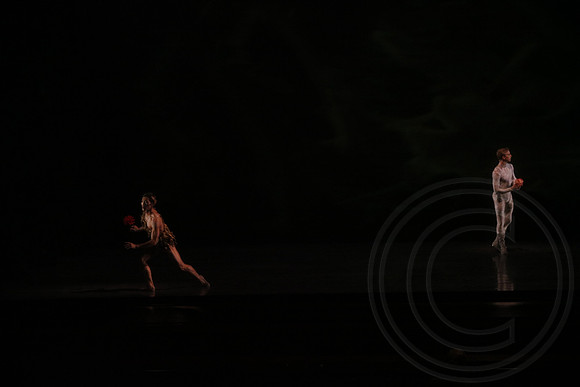 20160317_Midsummer_Nights_Dream_DR_Wide_75A5713