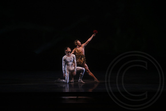 20160317_Midsummer_Nights_Dream_DR_Wide_75A5929
