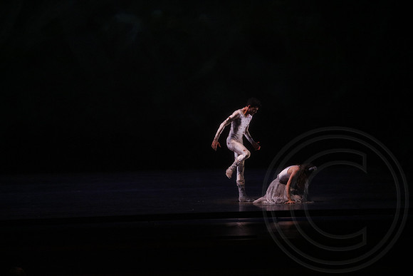 20160317_Midsummer_Nights_Dream_DR_Wide_75A5670