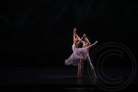 20160317_Midsummer_Nights_Dream_DR_Wide_75A5643