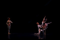 20160317_Midsummer_Nights_Dream_DR_Wide_75A5569