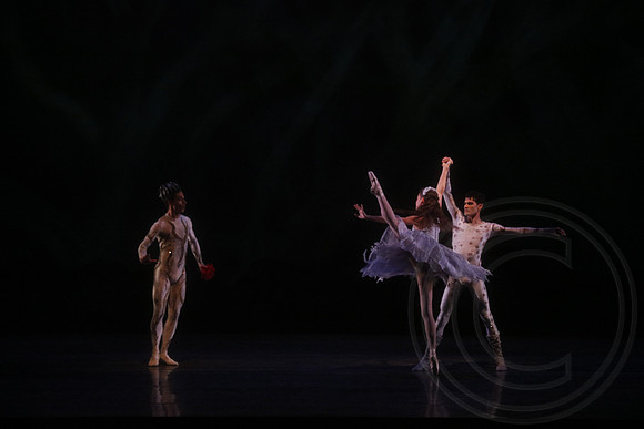 20160317_Midsummer_Nights_Dream_DR_Wide_75A5617