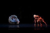 20160317_Midsummer_Nights_Dream_DR_Closeup_IMG_8229