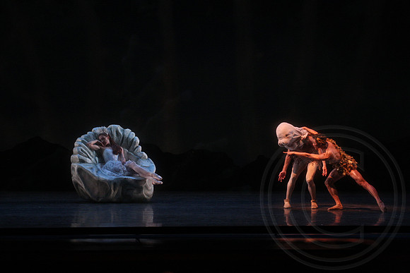 20160317_Midsummer_Nights_Dream_DR_Closeup_IMG_8229