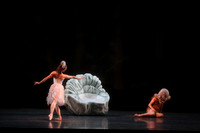 20160317_Midsummer_Nights_Dream_DR_Closeup_IMG_8252