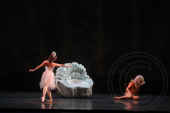 20160317_Midsummer_Nights_Dream_DR_Closeup_IMG_8252