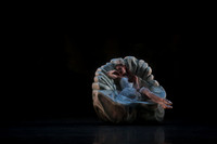 20160317_Midsummer_Nights_Dream_DR_Closeup_IMG_8220