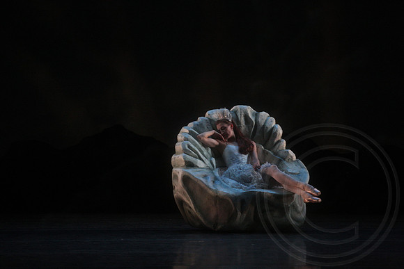 20160317_Midsummer_Nights_Dream_DR_Closeup_IMG_8220