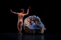 20160317_Midsummer_Nights_Dream_DR_Closeup_IMG_8214