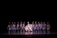 20160317_Midsummer_Nights_Dream_DR_Closeup_IMG_7868