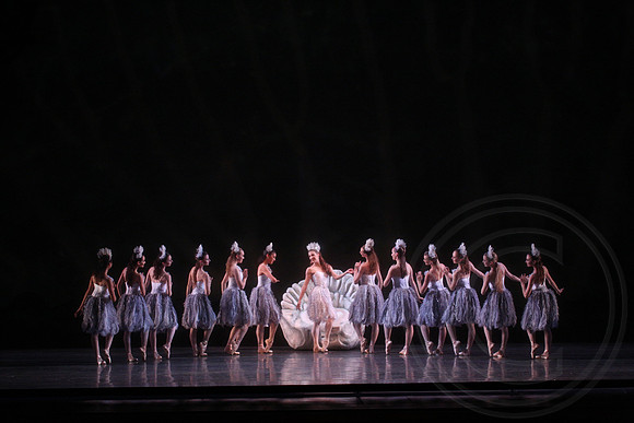 20160317_Midsummer_Nights_Dream_DR_Closeup_IMG_7868