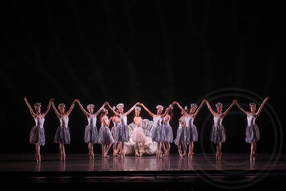 20160317_Midsummer_Nights_Dream_DR_Closeup_IMG_7748