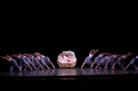 20160317_Midsummer_Nights_Dream_DR_Closeup_IMG_7973