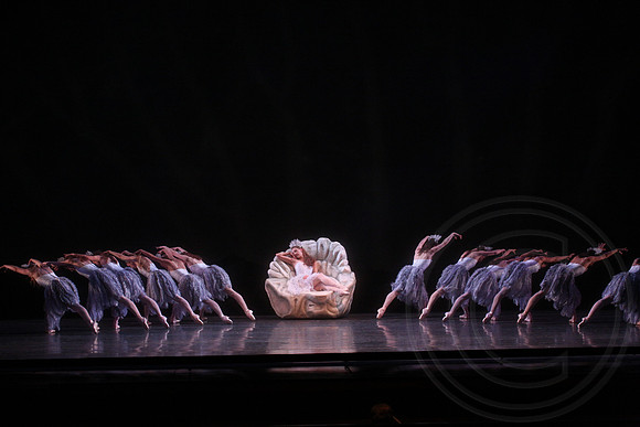 20160317_Midsummer_Nights_Dream_DR_Closeup_IMG_7973