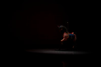 20170114_Carousel_Preformance_Saturday_Chase_Samantha_Saturday_MCB_9C7C0001
