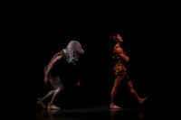 20160317_Midsummer_Nights_Dream_DR_Closeup_IMG_8197