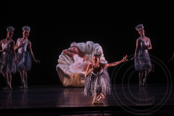 20160317_Midsummer_Nights_Dream_DR_Closeup_IMG_7984