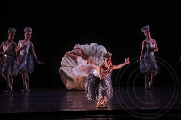 20160317_Midsummer_Nights_Dream_DR_Closeup_IMG_7983